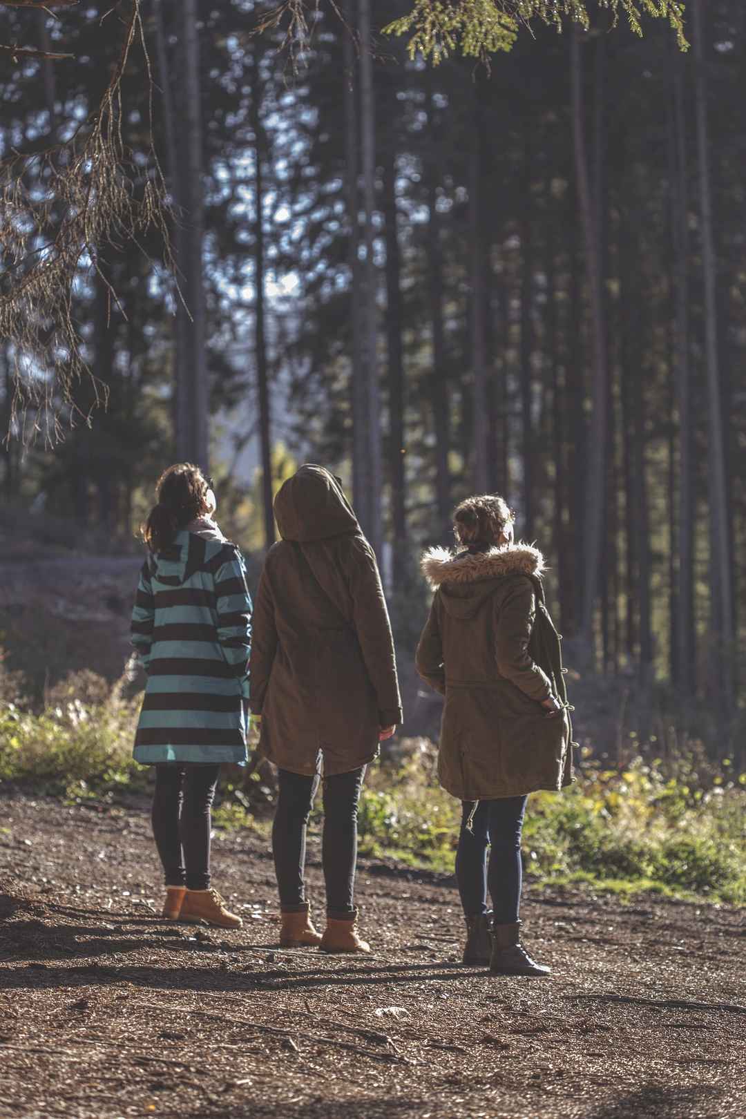 Adventure