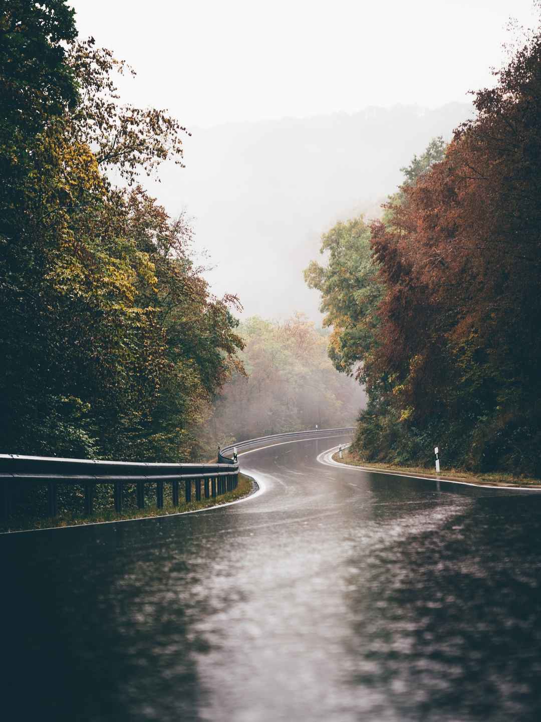 Road Trip